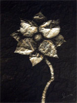 Click for Detail